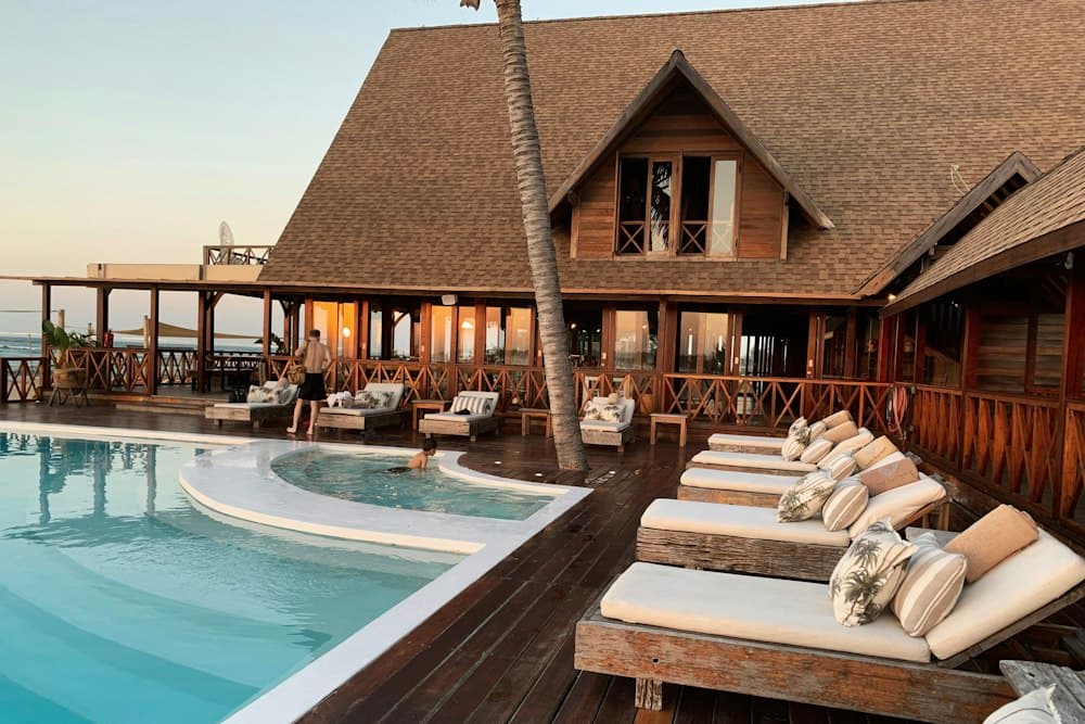 Resort swimming pool surrounded by palm trees